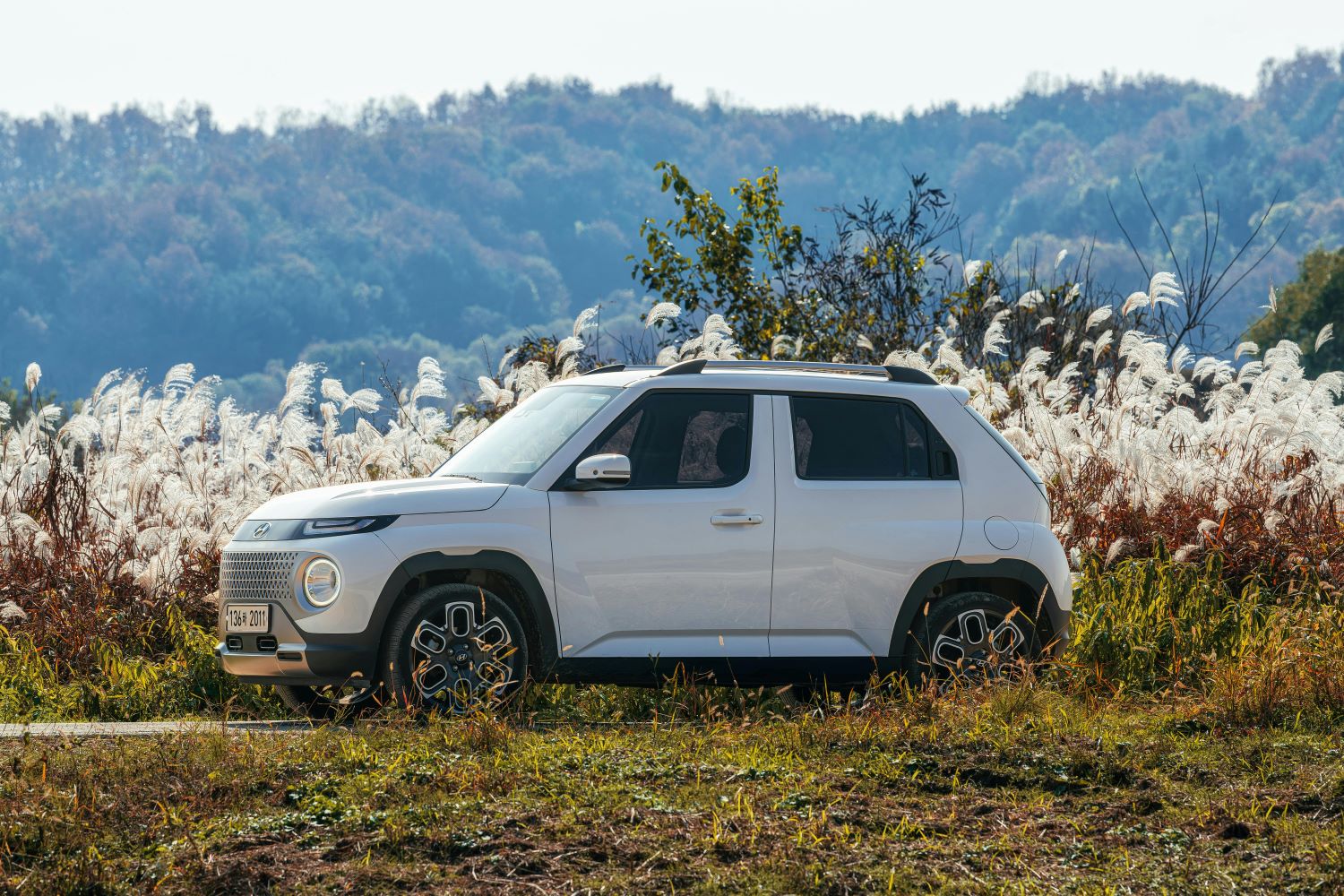 Opinie klientów potwierdzają naszą rzetelność